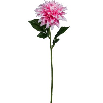 Dahlia, 53cm, pale pink