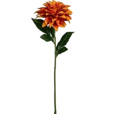 Dahlia, 53cm, orange