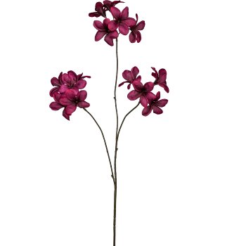 Frangipani, 90cm, dark red