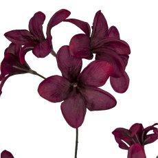 Frangipani, 133cm, dark red