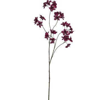 Frangipani, 133cm, dark red