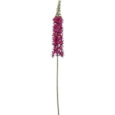 Eremurus, 107cm, pink