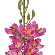 Delphinium, 95cm, pale pink
