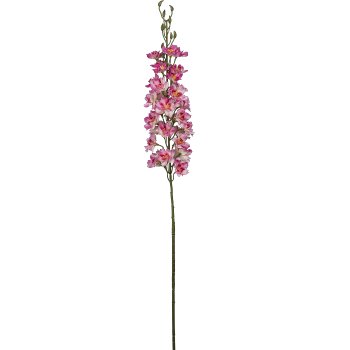 Delphinium, 95cm, pale pink