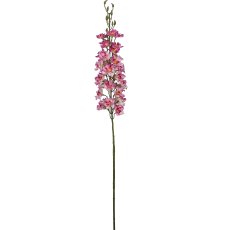 Rittersporn, 95cm, rosa