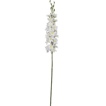 Rittersporn, 95cm, weiß