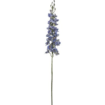 Rittersporn, 95cm, blau