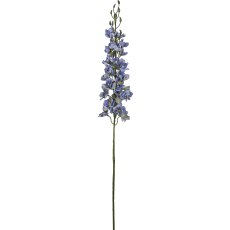 Rittersporn, 95cm, blau