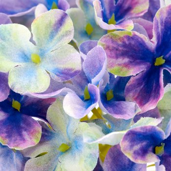 Hortensie, 48cm, lila