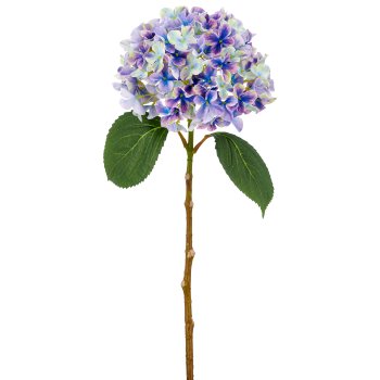 Hortensie, 48cm, lila