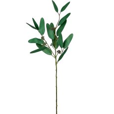 Eukalyptuszweig mit Früchten, 66cm, grau