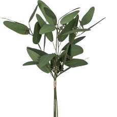 Eukalyptusbund mit Früchten, 38cm, grau
