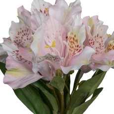 Alstromeria, 62cm, rosa