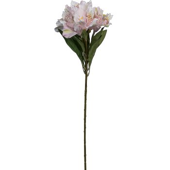 Alstromeria, 62cm, pale pink