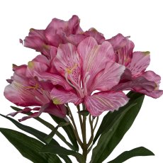 Alstromeria, 62cm, pink