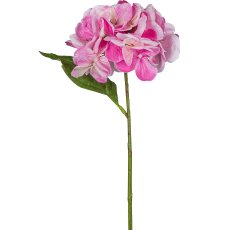 Hortensie, 35cm, rosa