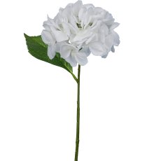 Hydrangea, 35cm, white