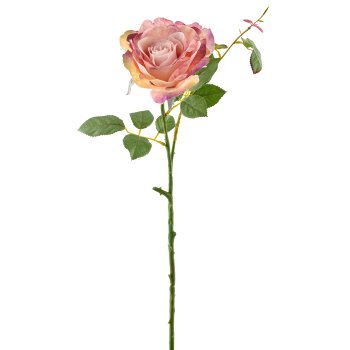 Rose, 72cm, dark pink