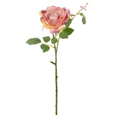 Rose, 72cm, dark pink
