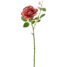 Rose, 72cm, amber