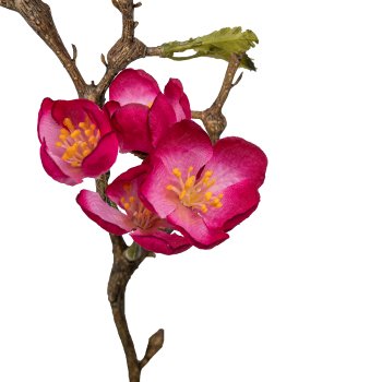 Apfelblütenzweig, 60cm, pink