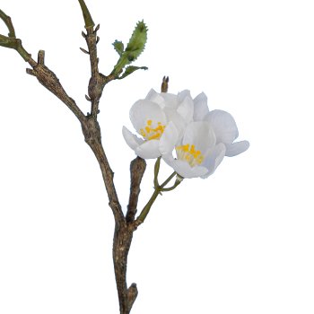 Apfelblütenzweig, 60cm, weiß