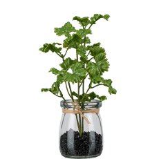 Parsley in a jar, 18cm, green