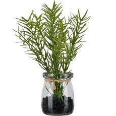 Rosemary in a glass, 18cm, green