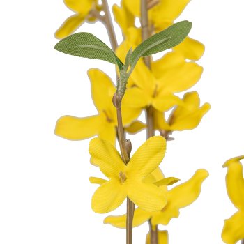 Forsythia, 81cm, yellow