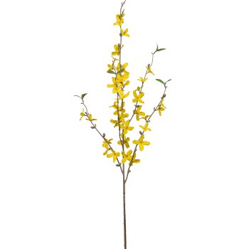 Forsythia, 81cm, yellow