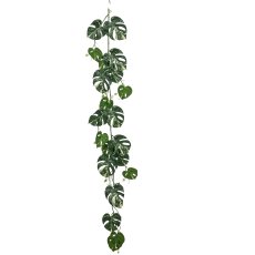 Split philo vine, 135cm, green