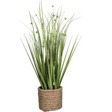 Flax grass in pot, 40cm, green