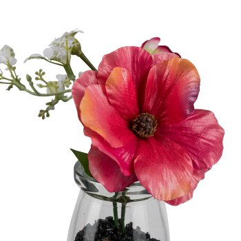 Ranunculus bouquet in glass, 13cm, pink