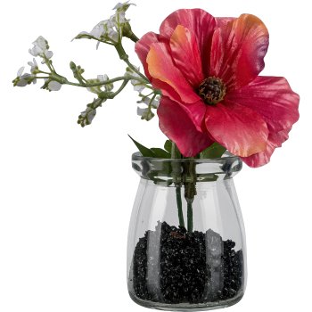 Ranunculus bouquet in glass, 13cm, pink