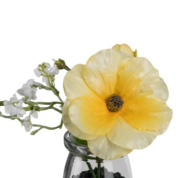Ranunculus bouquet in glass, 13cm, light yellow