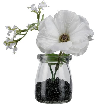 Ranunculus bouquet in glass, 13cm, white