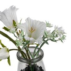 Campanula im Glas, 13cm, weiß