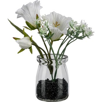 Campanula im Glas, 13cm, weiß