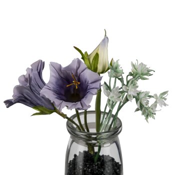 Campanula im Glas, 13cm, lila