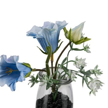 Campanula im Glas, 13cm, blau