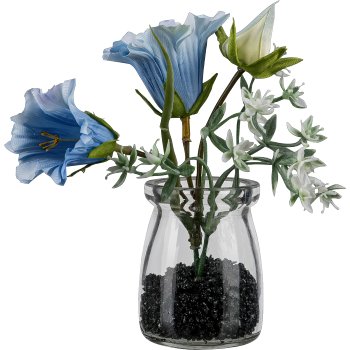 Campanula im Glas, 13cm, blau