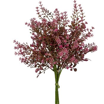 Sedum bunch x3, 33cm, pink