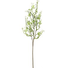 Pumila branch, 62cm, white