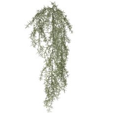 Asparagus tendril, 86cm, grey