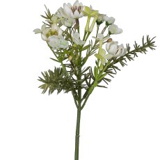 Wachsblumenzweig, 26cm, weiß