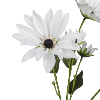 Margeritenzweig x4, 76cm, weiß