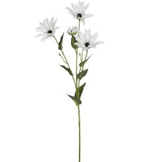 Margeritenzweig x4, 76cm, weiß