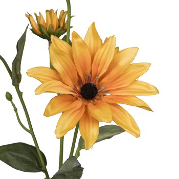 Margeritenzweig x4, 76cm, orange
