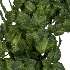 Mint wreath, 19cm, green