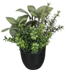 Pot of herbs, 18cm, green